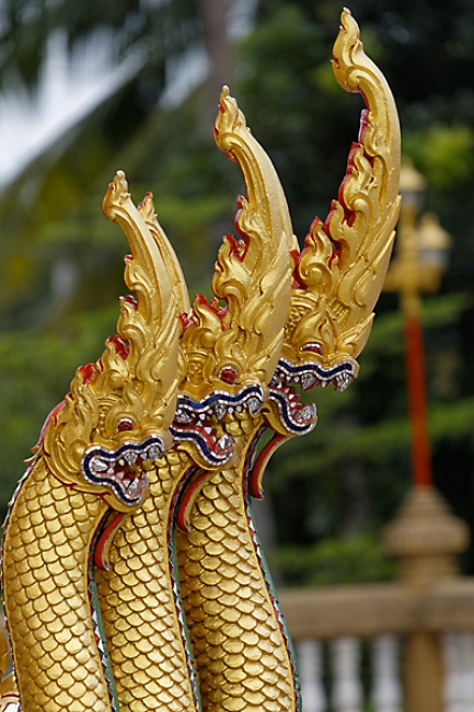 Talin chan-NOV13-117